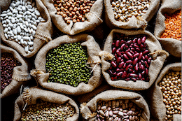 Image of a variety of legumes and grains in burlap sacks, featured on the 'HOME' page, symbolizing the diversity and richness of agricultural produce.